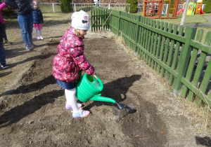 Dziewczynka podlewa konewką posiane rośliny.